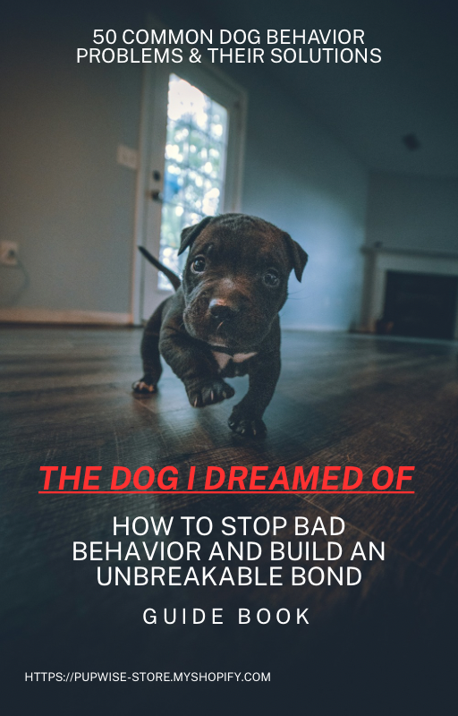 🐾 The Dog I Dreamed Of: How to Stop Bad Behavior and Build an Unbreakable Bond